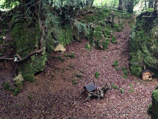 The Secret Forest